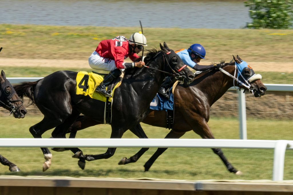 Image of horse racing